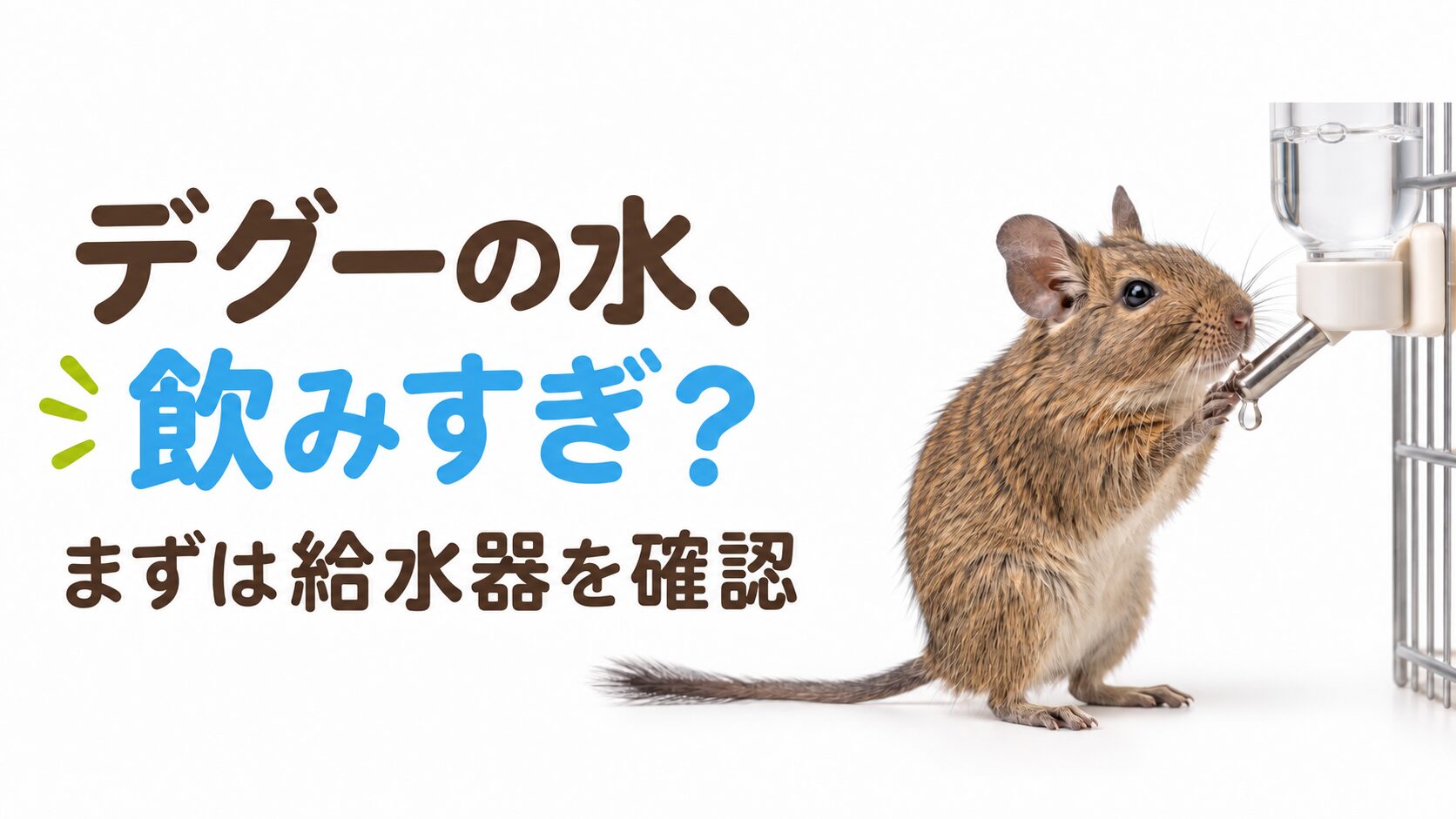 給水ボトルのそばにいるデグーと「デグーの水、飲みすぎ？ まずは給水器を確認」の文字